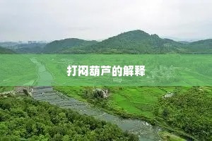 打闷葫芦的解释