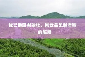 我已倦游君始壮，风云会见起潜鳞。的解释