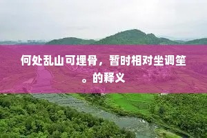 何处乱山可埋骨，暂时相对坐调笙。的释义