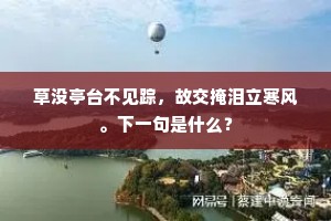草没亭台不见踪，故交掩泪立寒风。下一句是什么？