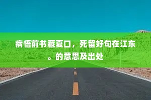 病悟前书藏夏口，死留好句在江东。的意思及出处