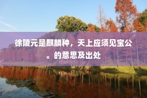 徐陵元是麒麟种，天上应须见宝公。的意思及出处