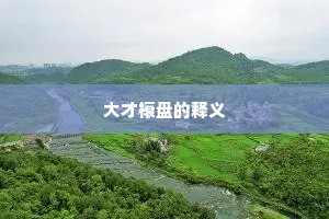 大才榱盘的释义