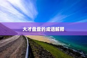 大才盘盘的成语解释