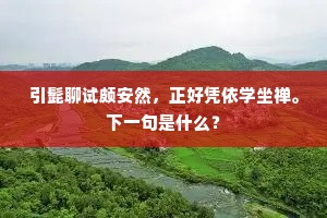 引髭聊试颇安然，正好凭依学坐禅。下一句是什么？