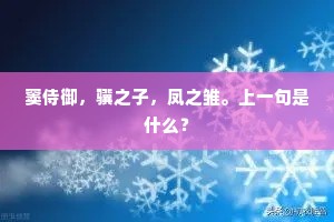 窦侍御，骥之子，凤之雏。上一句是什么？
