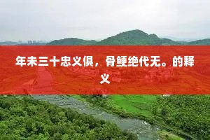年未三十忠义俱，骨鲠绝代无。的释义