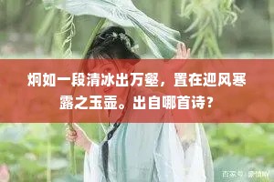 炯如一段清冰出万壑，置在迎风寒露之玉壶。出自哪首诗？