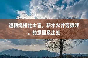 运粮绳桥壮士喜，斩木火井穷猿呼。的意思及出处
