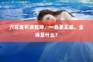 六花堆积满乾坤，一色更无痕。全诗是什么？