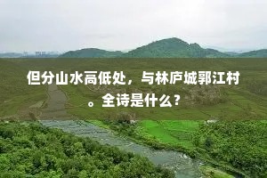但分山水高低处，与林庐城郭江村。全诗是什么？