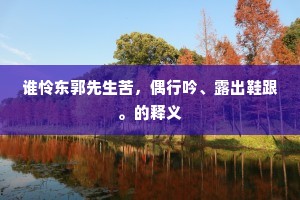 谁怜东郭先生苦，偶行吟、露出鞋跟。的释义