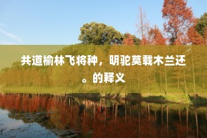 共道榆林飞将种，明驼莫载木兰还。的释义