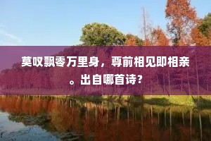 莫叹飘零万里身，尊前相见即相亲。出自哪首诗？