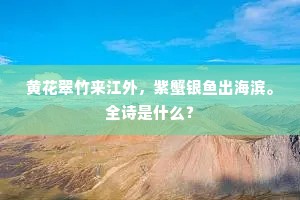 黄花翠竹来江外，紫蟹银鱼出海滨。全诗是什么？