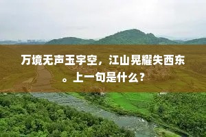 万境无声玉宇空，江山晃耀失西东。上一句是什么？