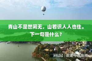 青山不是世闲无，山若识人人也住。下一句是什么？
