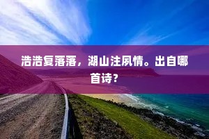 浩浩复落落，湖山注夙情。出自哪首诗？