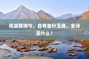 机底联绵兮，自有金针玉线。全诗是什么？
