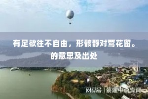 有足欲往不自由，形骸静对莺花留。的意思及出处