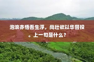 泡浪亦悟吾生浮，尚壮欲以华簪投。上一句是什么？