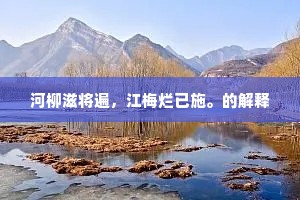 河柳滋将遍，江梅烂已施。的解释