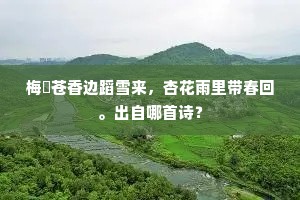梅莟苍香边蹈雪来，杏花雨里带春回。出自哪首诗？