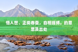 悟人世、正类春蚕，自相缠缚。的意思及出处