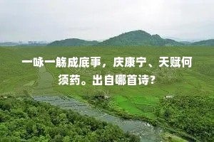 一咏一觞成底事，庆康宁、天赋何须药。出自哪首诗？