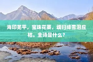 海印芜平，宝珠花萎，魂归绛雪泪应枯。全诗是什么？