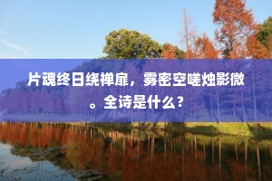 片魂终日绕禅扉，雾密空嗟烛影微。全诗是什么？