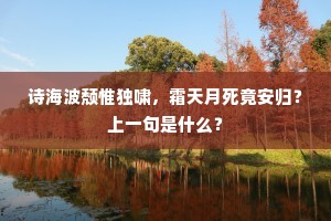 诗海波颓惟独啸，霜天月死竟安归？上一句是什么？