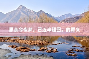 思亲今夜梦，已近半程回。的释义
