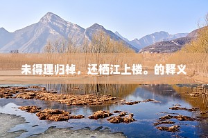未得理归棹，还栖江上楼。的释义
