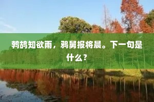 鹁鸪知欲雨，鸦舅报将晨。下一句是什么？