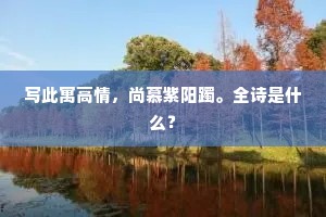 写此寓高情，尚慕紫阳躅。全诗是什么？