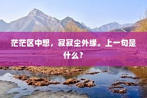 茫茫区中想，寂寂尘外缘。上一句是什么？