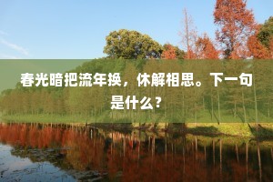 春光暗把流年换，休解相思。下一句是什么？