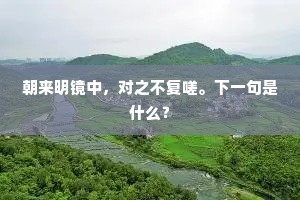 朝来明镜中，对之不复嗟。下一句是什么？