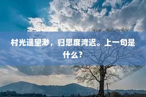 村光遥望渺，归思度湾迟。上一句是什么？