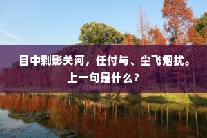 目中剩影关河，任付与、尘飞烟扰。上一句是什么？