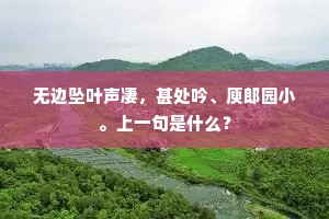 无边坠叶声凄，甚处吟、庾郎园小。上一句是什么？