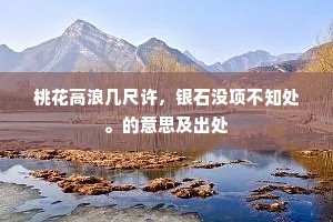 桃花高浪几尺许，银石没项不知处。的意思及出处