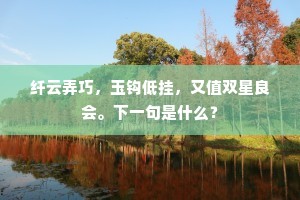 纤云弄巧，玉钩低挂，又值双星良会。下一句是什么？