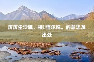历历尘沙貌，棱嶒怪尔殊。的意思及出处