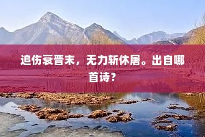 追伤衰晋末，无力斩休屠。出自哪首诗？