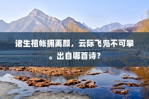 诸生祖帐拥离颜，云际飞凫不可攀。出自哪首诗？