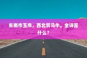 东南市玉帛，西北贸马牛。全诗是什么？