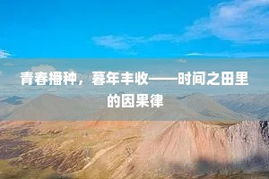 青春播种，暮年丰收——时间之田里的因果律