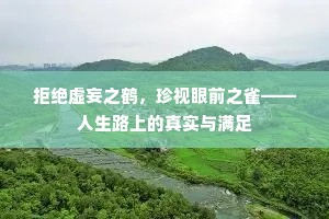 拒绝虚妄之鹤，珍视眼前之雀——人生路上的真实与满足